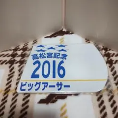 出走馬ミニゼッケンコースター　ビッグアーサー