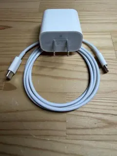 Apple 순정 20W 충전기와 타입 C-라이트닝 1m 케이블 세트