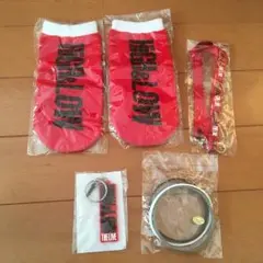 HiGH&LOW ライブグッズ セット