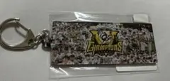 阪神タイガース　史上最速V キーホルダー