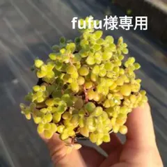 fufu様 リクエスト 2点 まとめ商品