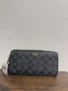 Item thumbnail for item e06fb1ba-9851-4daf-98bd-7eff4e42dbf2