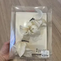 Item thumbnail for item 88a0683d-fd84-4065-aec1-2ac11ac1c4b2