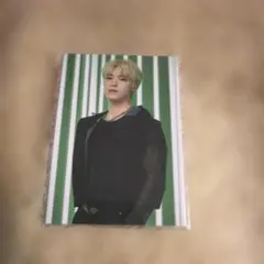 SEVENTEEN FOLLOW JAPAN ディノ 26