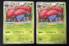 2026年最新】ラフレシア イライラの人気アイテム - メルカリ