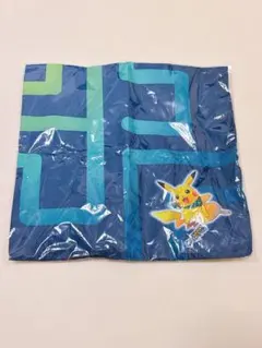 Item thumbnail for item 38ff63b5-6858-4545-9b4e-c32ccd987945