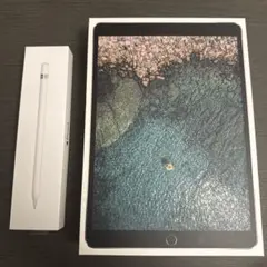 iPad Pro 10.5インチ スペースグレイApple Pencil付き