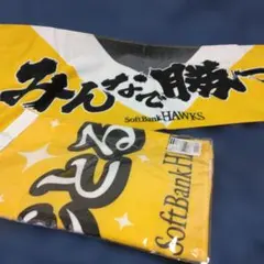 pikomaru様 リクエスト 2点 まとめ商品