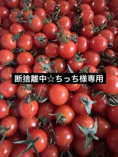 断捨離中☆ちっち様