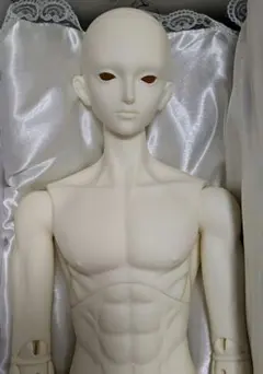 gem of doll Cupid Bird Ver.　1/3　bjd