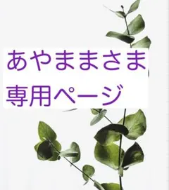 あやままさま専用ページ
