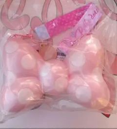 ディズニー　ミニー　パルパルーザ　ファンダーランド　ミニスナックケース