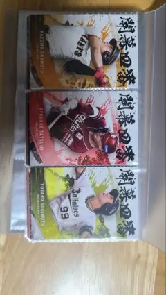 プロ野球チップス2025 カードセット 個別売対応