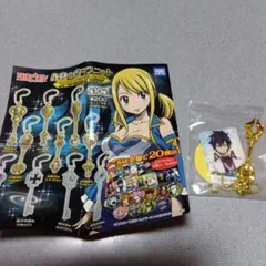 2025年最新】星霊の鍵の人気アイテム - メルカリ