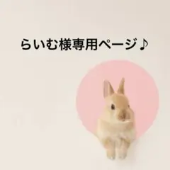 らいむ様専用ページ♪