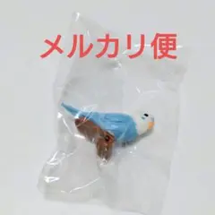 ガチャ　インコヌードルクリップ　ブルー　セキセイインコ