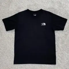 THE NORTH FACE ザ ノースフェイス ヒステリカルロゴTシャツ