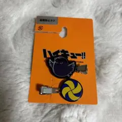 ハイキュー☆前髪クリップ
