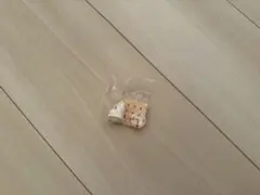 チョコサプ サンリオ はなまるおばけ