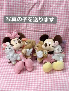 ユニベスティーズ　ミッキー　ミニー