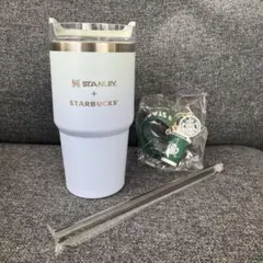 STANLEY クラシックランチボックス 9.4L グリーン 未使用廃盤品 2026年最新】スタンレーアイテムの人気アイテム - メルカリ