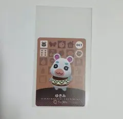 あつまれどうぶつの森　amiibo　ゆきみ