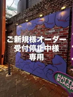 ご新規様オーダー受付停止中様　専用 ポケモン30周年記念