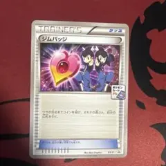 XY-P ジムバッジ　8枚セット　プロモカード ジムバッジ(XY-P) | プロモ | ドラゴンスター | ポケモンカード