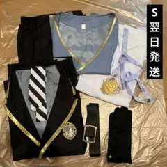 魔法使いの約束 アーサー 通常 ウィッグセット - メルカリ