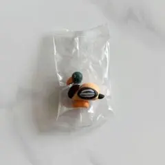 DAISUKE KONDO kamo カモ