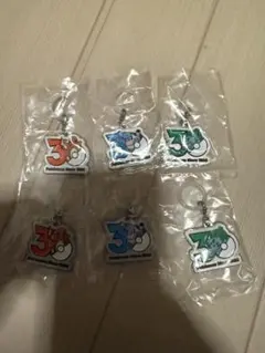 ポケモン　30周年　メタルチャームマスコット　セット