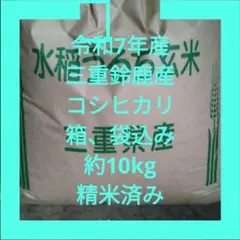 令和7年産 新潟県産コシヒカリ 玄米10kg 農家直送 対象農薬・化学肥料5
