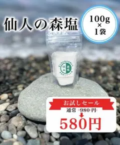 仙人の森塩 100g×1袋 天然塩 海洋深層水 - メルカリ