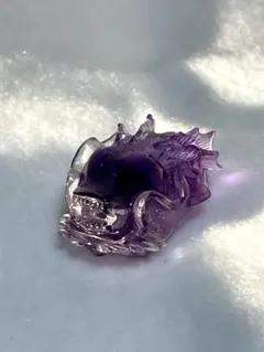 アメジスト龍亀(ロングイ)顔