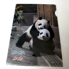 双子パンダ 上野動物園のサムネイル