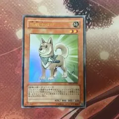 柴戦士タロ　ウルトラ