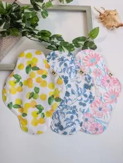 Item thumbnail for item 8a573381-ef2f-4d63-866c-a66c12d99d0c