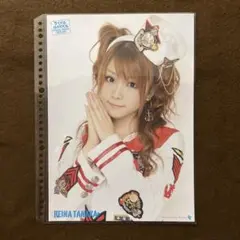 モーニング娘 田中れいな ピンナップポスター ピンポス ハロプロ 13