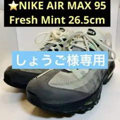 2026年最新】NIKE AIR MAX 95 ナイキ エア マックス 95 CD7495-101の 