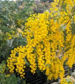 ぽんちゃん様 リクエスト 3点 まとめ商品