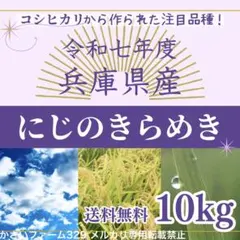☆農家直送☆ 静岡県産 令和7年産 にじのきらめき 10kg - メルカリ