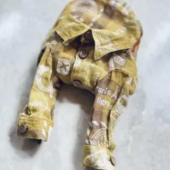 レア品 アンジェリーク〜エトワール 缶バッチ アリオス - メルカリ