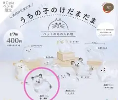 うちの子けだまだま ペテモ限定 黒柴