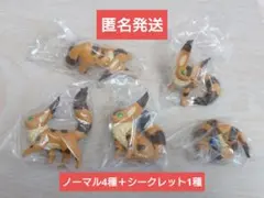 2026年最新】キツネリス ポーズがいっぱいの人気アイテム - メルカリ