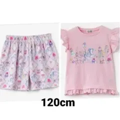 エコネコ　120　夏服