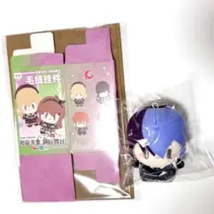 プロセカ　中国　ぬいぐるみ　初音未来　缤纷舞台　光之礼賛　東雲彰人 プロセカ 中国 ぬいぐるみ 初音未来 缤纷舞台 光之礼賛 東雲彰人
