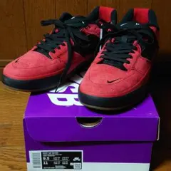 NIKE SB ISHOD