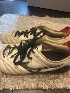 Mizuno モレリアネオ3