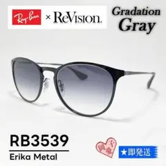 ■ReVision■RB3539 レイバン サングラス エリカメタル　REGGY