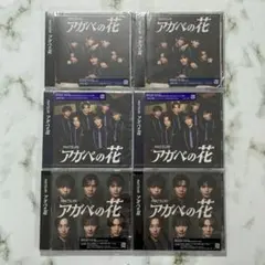 MATSURI アガベの花 CD DVD セット